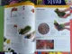 DK STEAM Books, Science squad, Home Lab Robert Winston