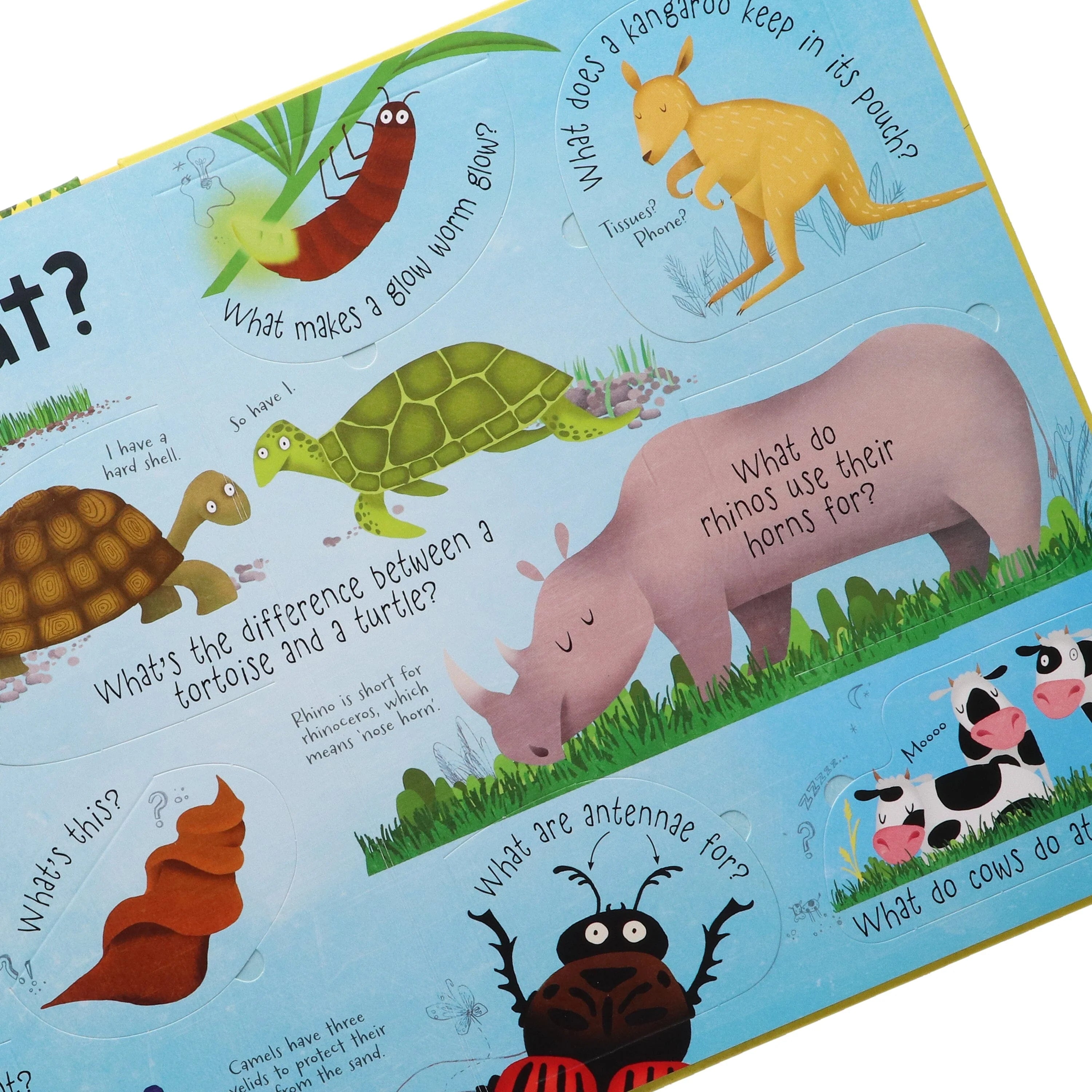 Lift-the-flap Questions and Answers by Katie Daynes 5 Books Box Set