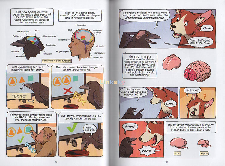 Science Comics series 22 books