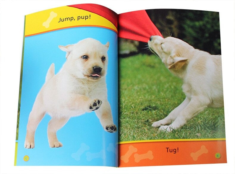 National Geographic Readers: Hop, Bunny!: Explore the Forest(20 books)