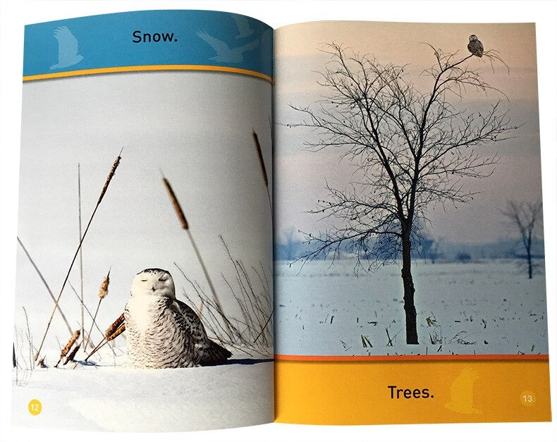 National Geographic Readers: Hop, Bunny!: Explore the Forest(20 books)