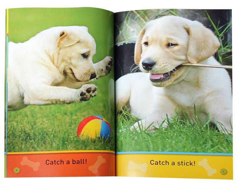 National Geographic Readers: Hop, Bunny!: Explore the Forest(20 books)