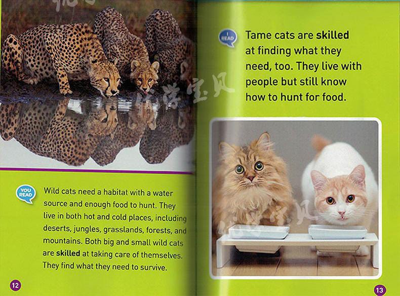 National Geographic Readers: Caterpillar to Butterfly 25 books (level 1)