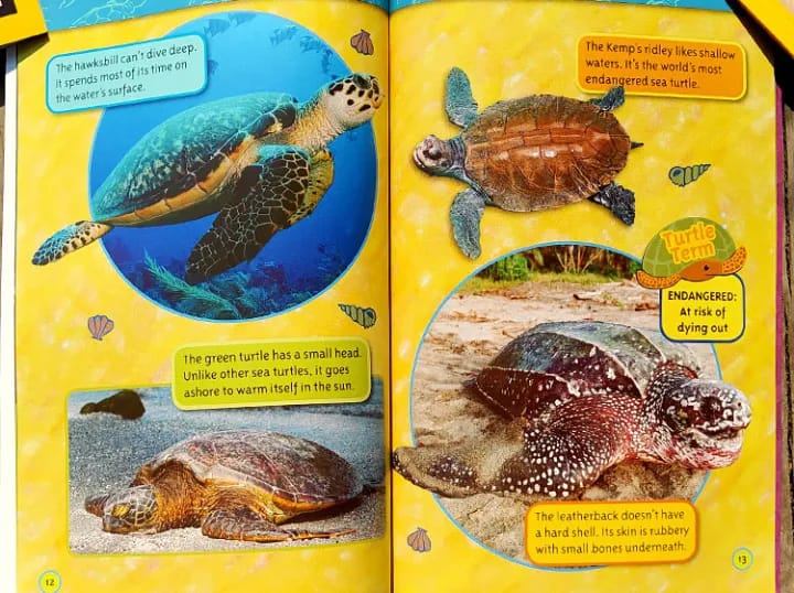 National Geographic Kids 25 Books ( Level 2)