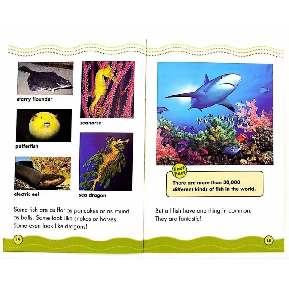 Science vocabulary (Fantastic Fish) 30 books