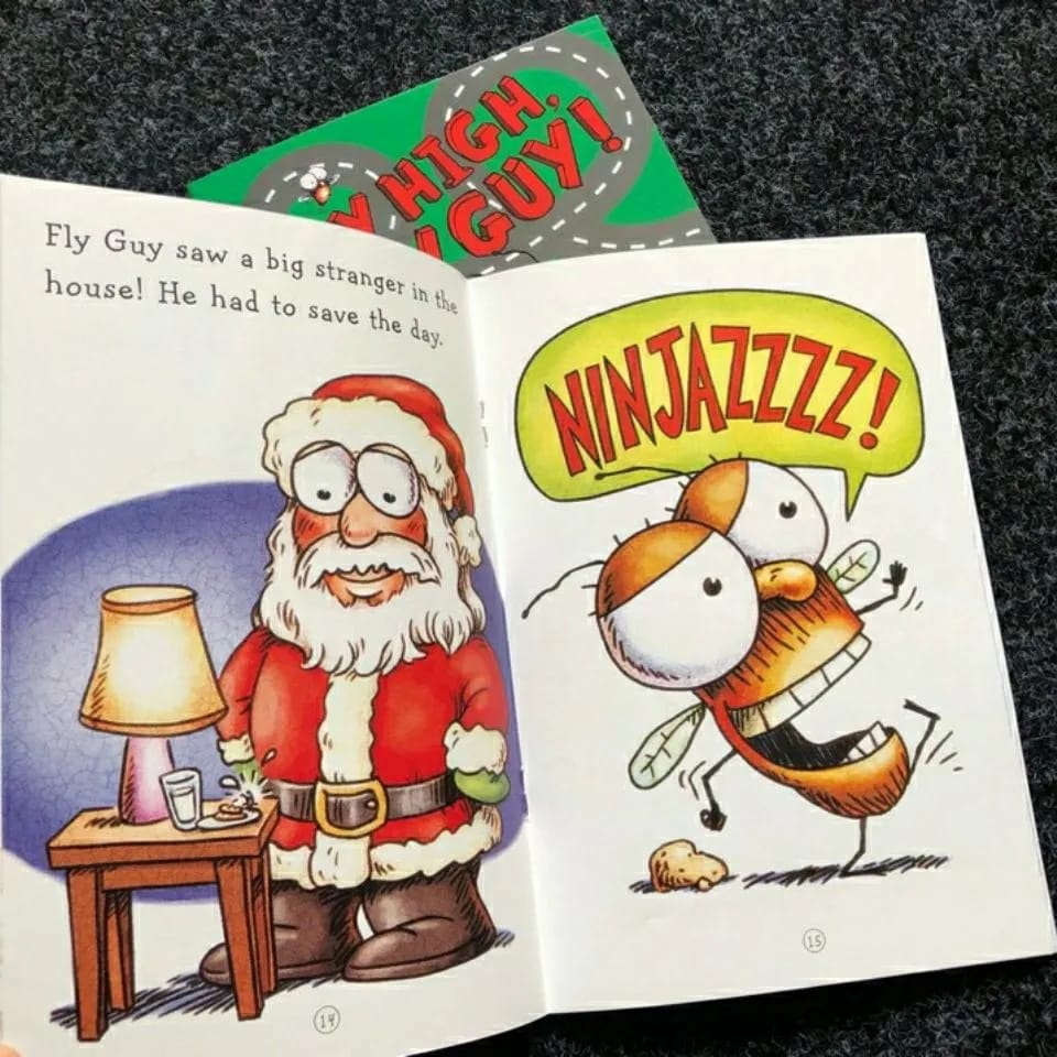 Fly Guy And Buzz (15 Books)