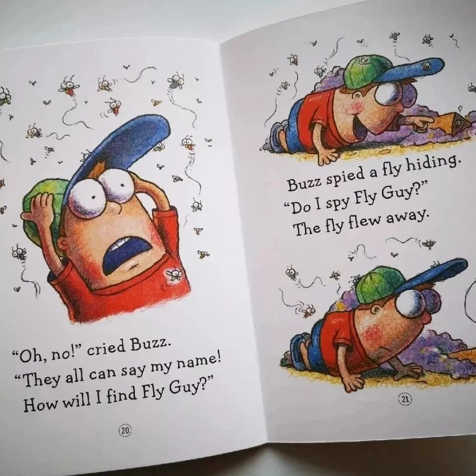 Fly Guy And Buzz (15 Books)