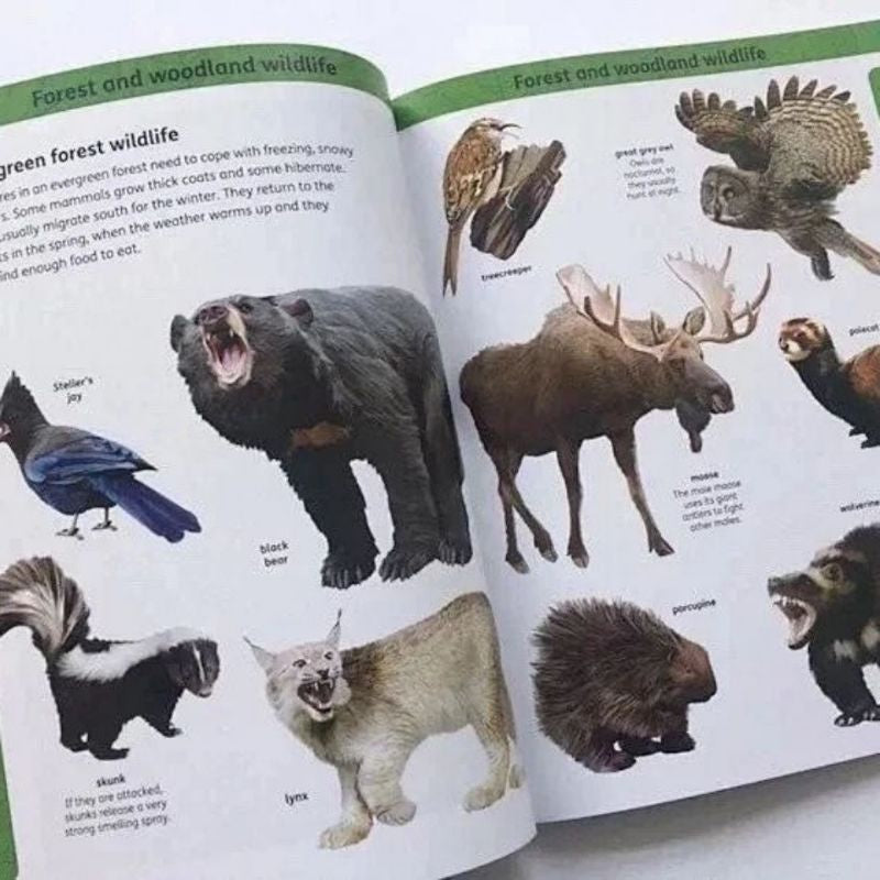 Oxford First Learning Collection – 8-Book