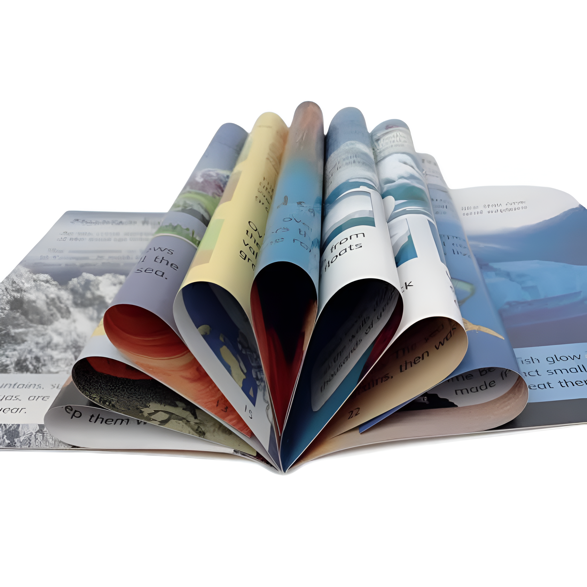 Usborne Beginners Science Collection - 10 Books