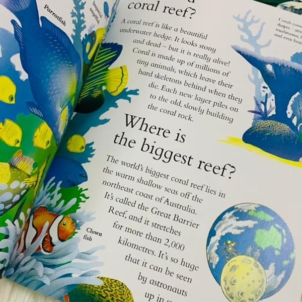 I Wonder Why Series - 24 Books