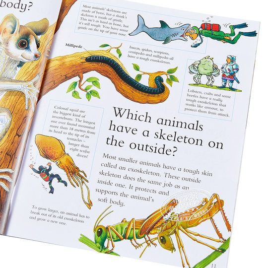 I Wonder Why Series - 24 Books