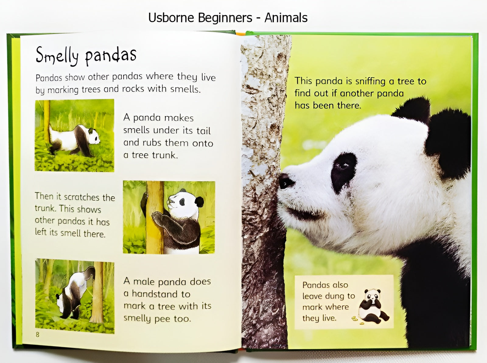 Usborne Beginners Animals Series - 10 Books Box Set