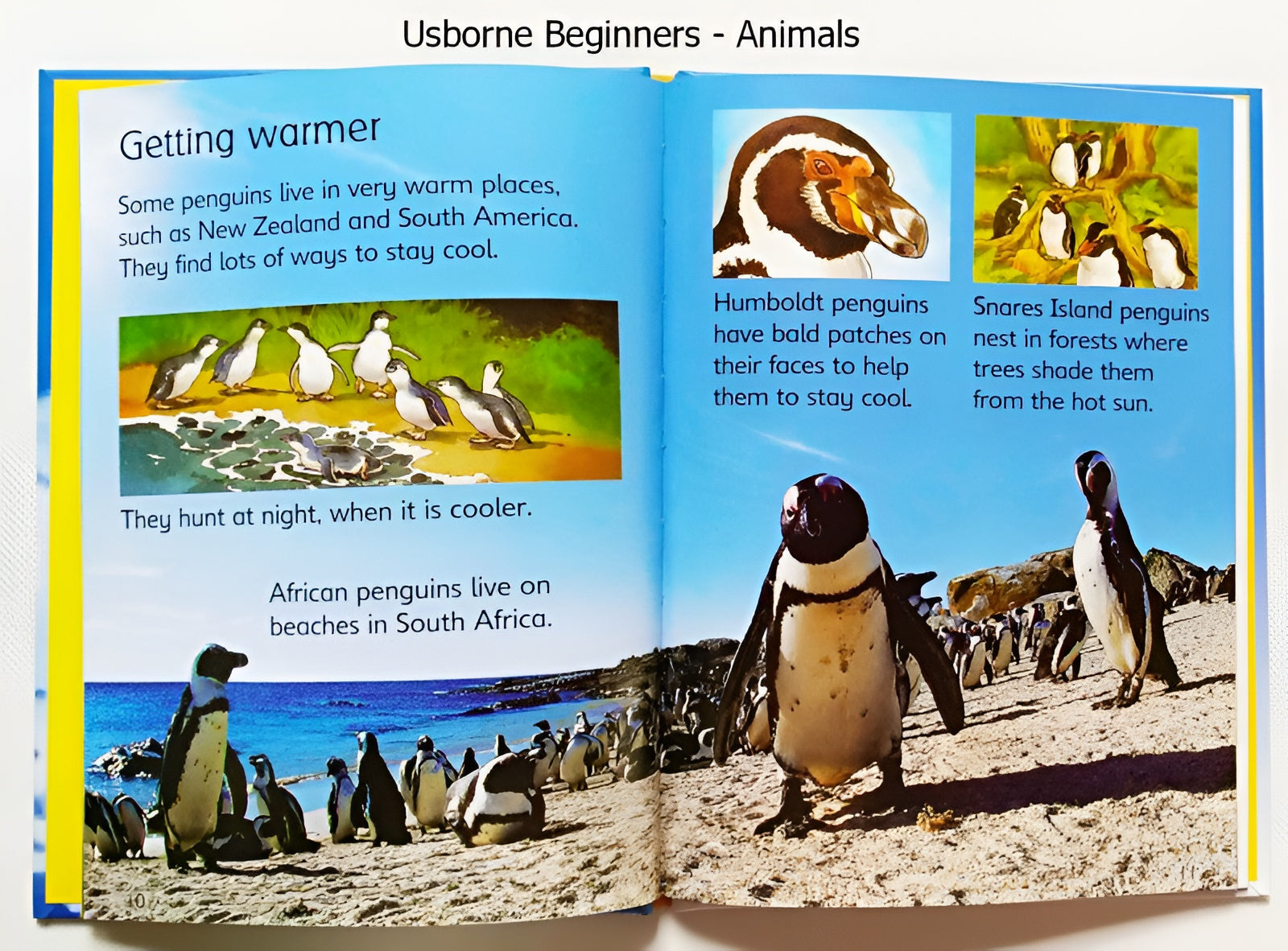 Usborne Beginners Animals Series - 10 Books Box Set