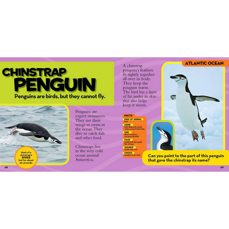 National Geographic Little Kids First Big Book, Book (9books)