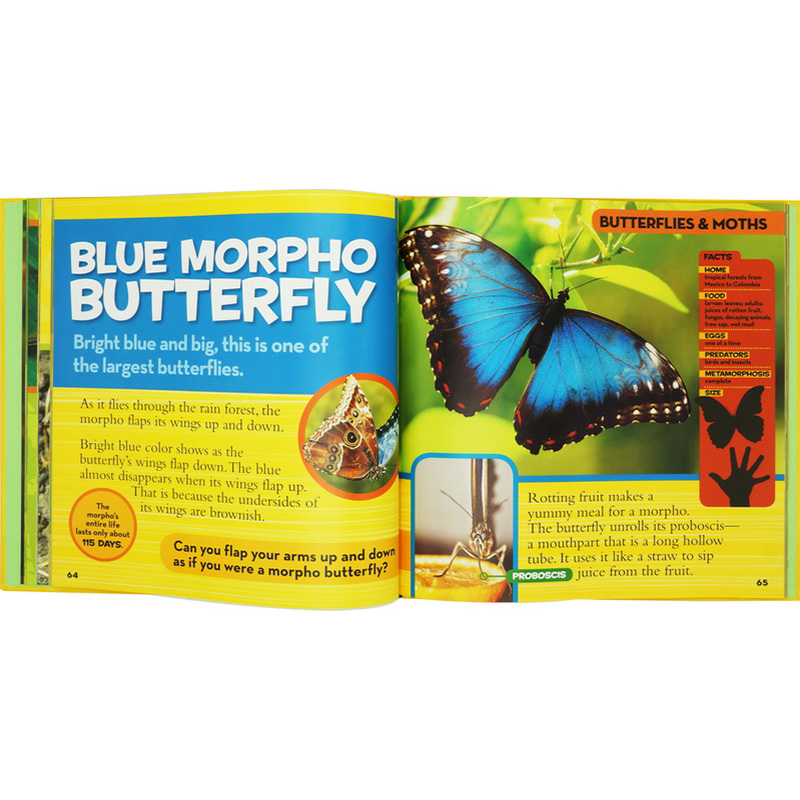 National Geographic Little Kids First Big Book, Book (9books)