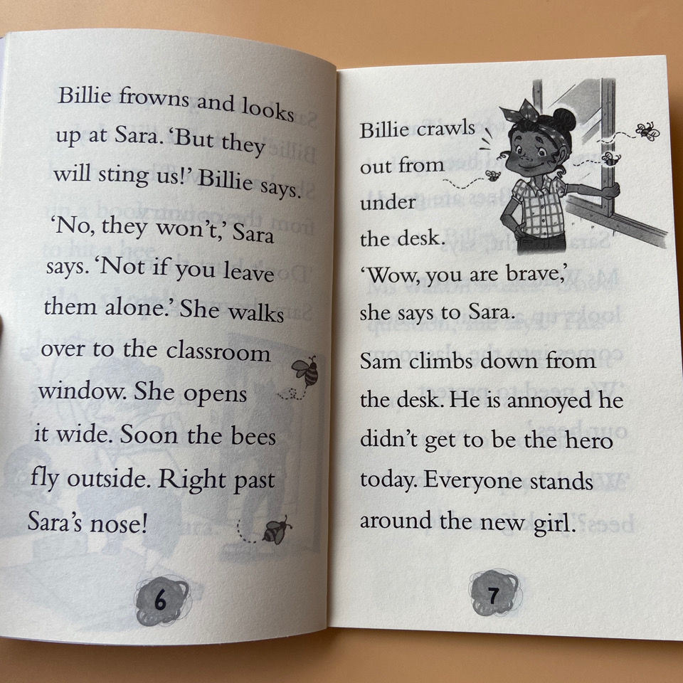 Billie B Brown Early Readers Anniversary Collection 23 Books By Sally Rippin - Age 4+ - Paperback
