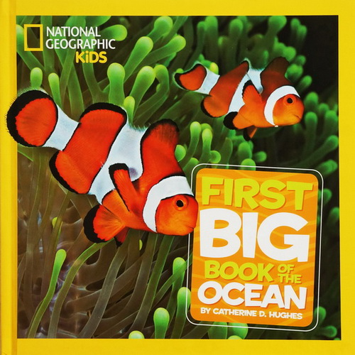 National Geographic Little Kids First Big Book, Book (9books)