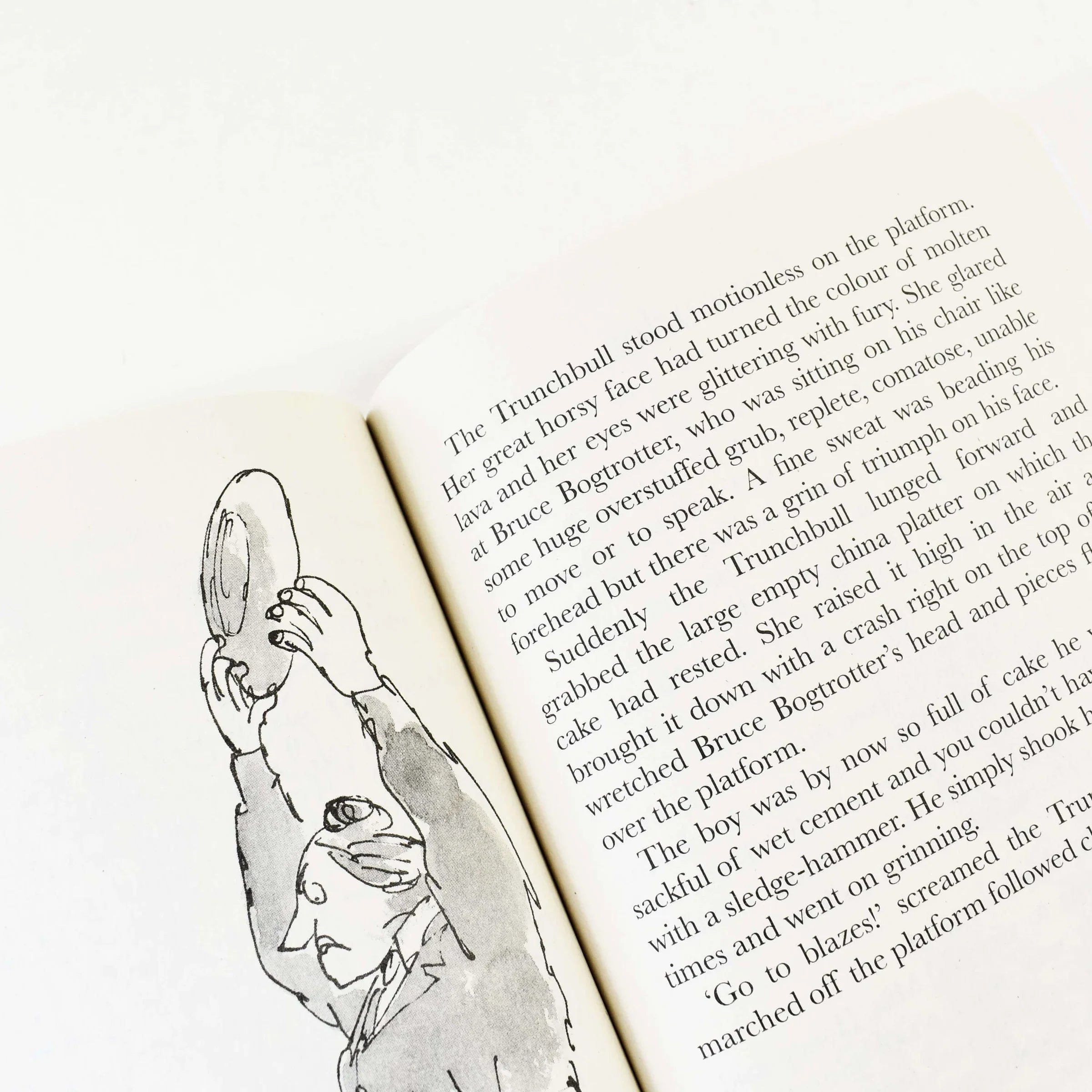 Roald Dahl Collection 15 Books Box Set – justbook