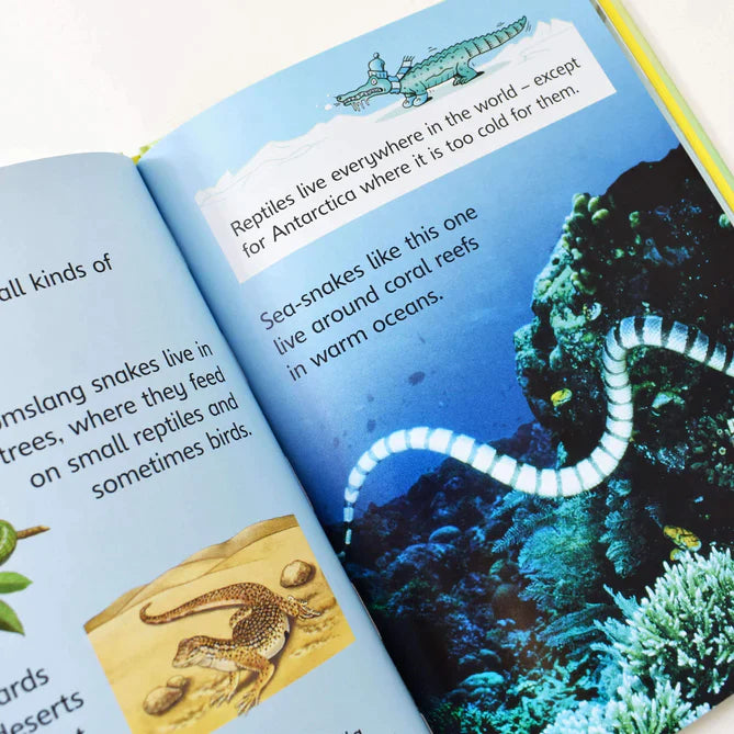 Usborne For Beginners シリーズ 英語絵本 7冊セット Usborne Beginners Nature 10 Books Box Set Collection