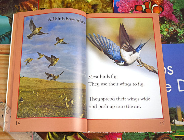 Beginning to read collection kingfisher