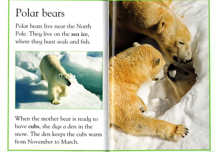 Beginning to read collection kingfisher