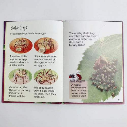 Usborne Beginners Nature 10 Books Box Set Collection (Reptiles, Rainforests,Tre)