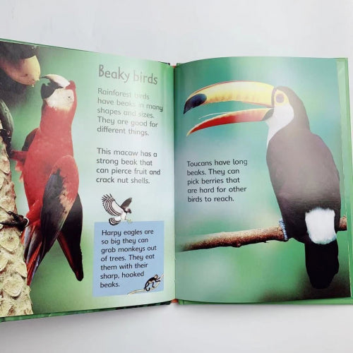 Usborne Beginners Nature 10 Books Box Set Collection (Reptiles, Rainforests,Tre)