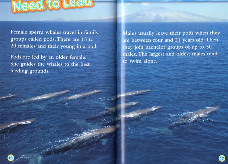 National Geographic Level 2