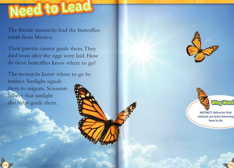 National Geographic Level 2