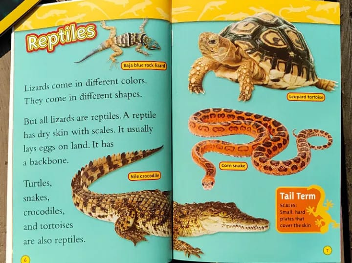 National Geographic Level 2