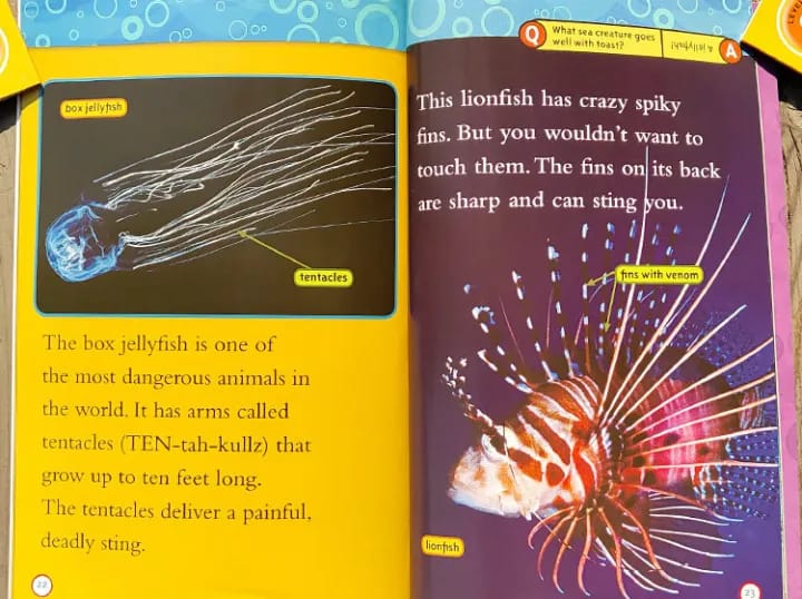 National Geographic Level 2