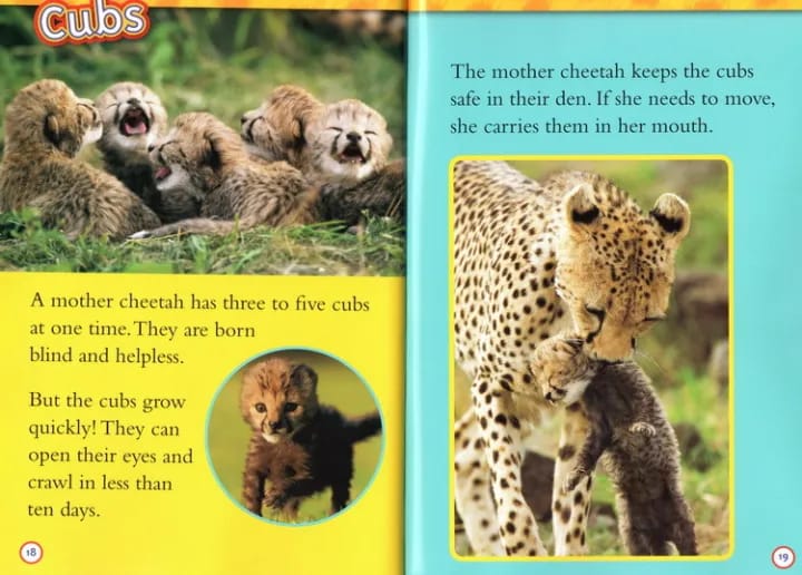 National Geographic Level 2