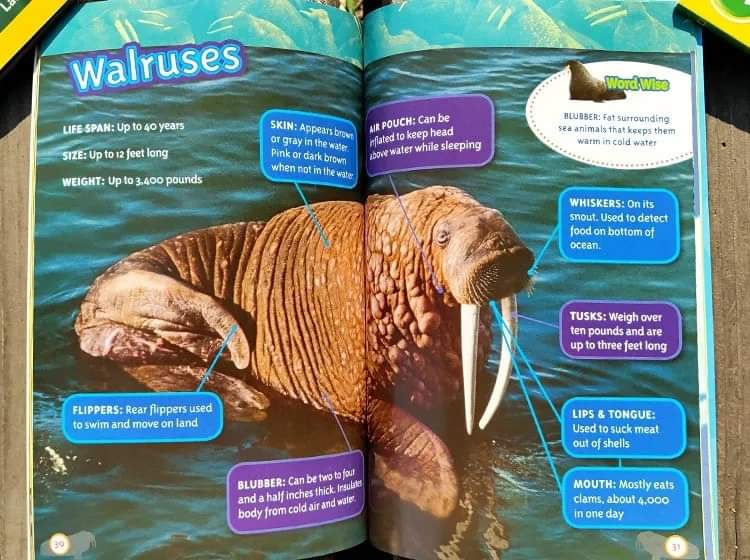 National Geographic kids - cats vs dogs 22 books ( level3 )