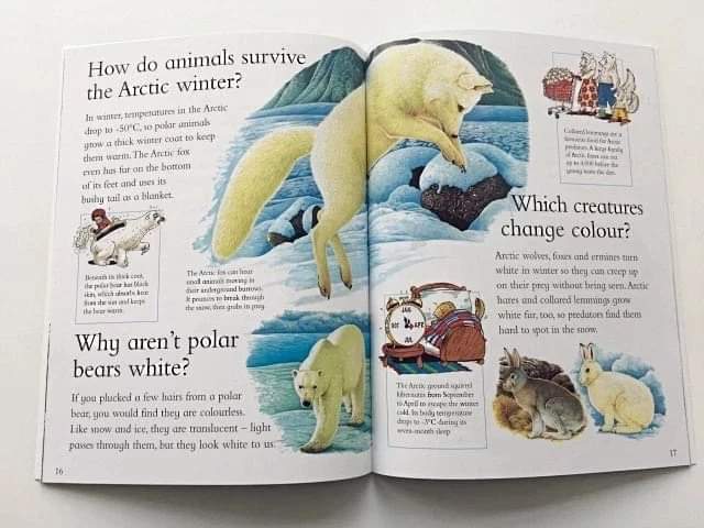 I Wonder Why Series ⁉️(24 Books)