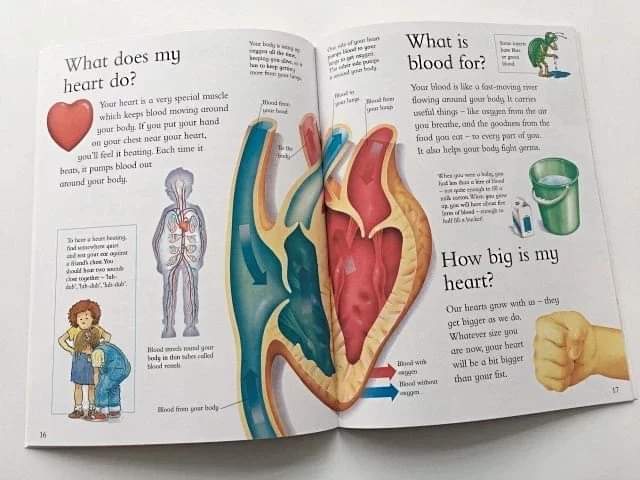 I Wonder Why Series ⁉️(24 Books)