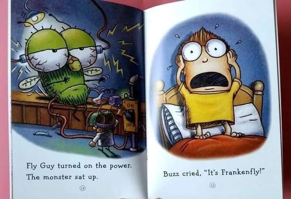 Fly Guy And Buzz (15 Books)