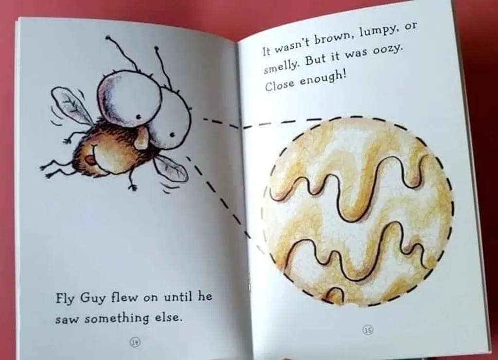 Fly Guy And Buzz (15 Books)