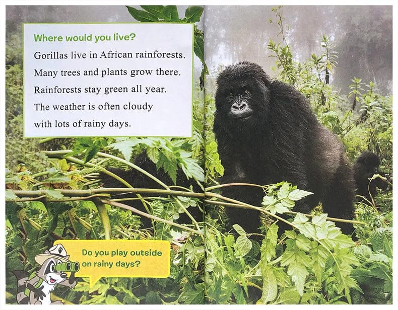 I Can Read Level 1 (Ranger Rick )8 books