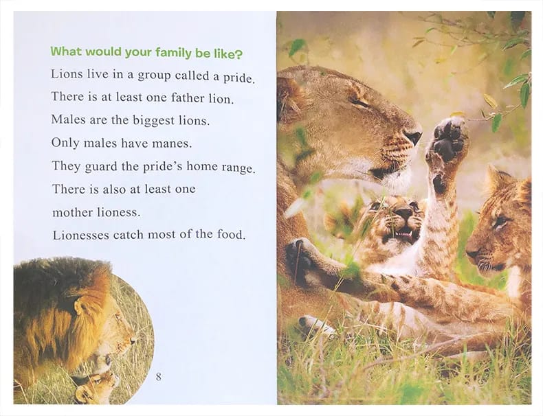 I Can Read Level 1 (Ranger Rick )8 books